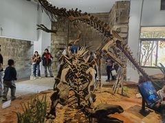 -自贡恐龙博物馆