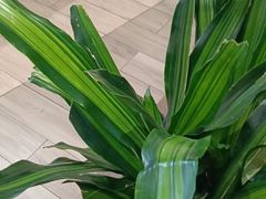 -楚山晓·楚湘菜(江夏永旺店)