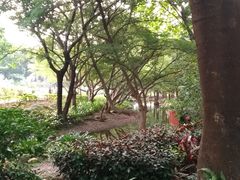 -人民公园(罗湖区)