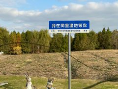 -同里国家湿地公园