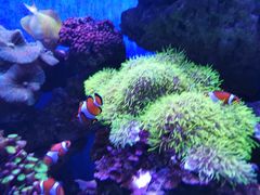 -多彩贵州城极地海洋世界