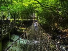 -神龙峡风景区