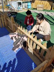 -萌宠亲子动物乐园(槐房万达店)