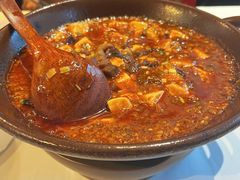 麻婆豆腐-眉州东坡(博雅店)