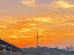 -矮子馅饼(大成路店)