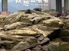 -仓山金山寺