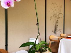 店内布置-若蘭慈·无国界素食料理(欢乐海岸店)