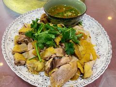 姜汁白切鸡-洪霞餐馆