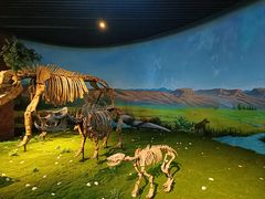 -安徽省地质博物馆