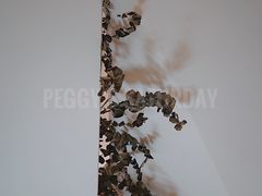 -尤加利咖啡馆