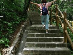 -秦岭天竺山景区