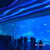 珠海长隆海洋王国