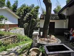 -会稽山峡洞漂流-上青古道