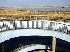 -盐城丹顶鹤湿地生态旅游区