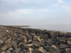 南汇嘴观海公园-南汇嘴观海公园