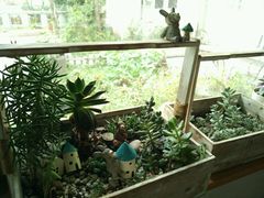 android_upload_pic-海边的猫和咖啡馆