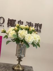 -YESIDO椰岛造型