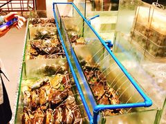 -Isla Sugbu Seafood City