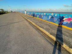 -南汇嘴观海公园