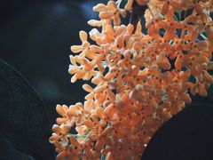 -杭州少年儿童公园