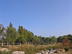 -春花秋色城市公园