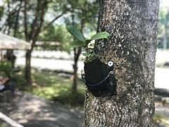-瑞穗牧场