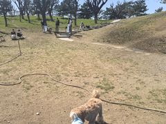 -小意思咖啡店(草桥店)