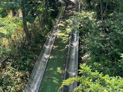 -富斯特索道
