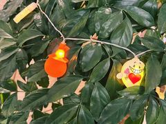 -瑞尔齿科(上海长风大悦城店)