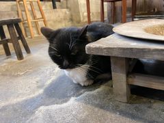 -下面馆