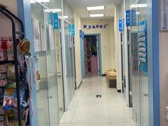 -全心全意连锁动物医院·微创中心·内科急重症·心脏专科(丰管路店)