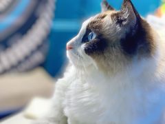 -零纪元VR体验馆·桌游(黄浦店)