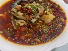 -陶然饺子城(奥体中路店)