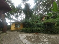 -生态园山庄(森林公园店)