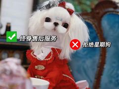 -萌宠之家·腊肠犬·马尔泰·小体犬舍