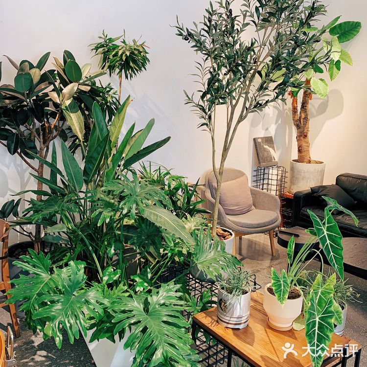 阿那亚|AZ街角咖啡店