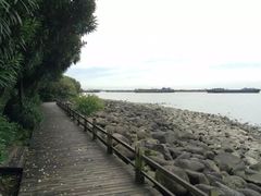 -吴淞炮台湾湿地森林公园烧烤区