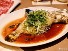 -協成海鮮火鍋(老店)