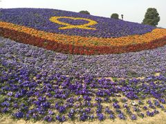 -南通洲际绿博园