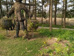 -上海长兴岛郊野公园