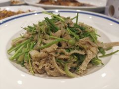 -紫光园·烤鸭·北京菜(劲松店)