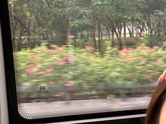 -荔香公园