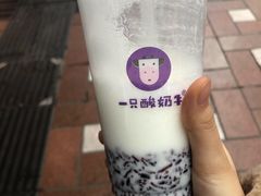 -一只酸奶牛(八一路店)