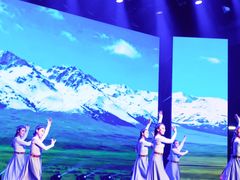 -中国宋庆龄青少年科技文化交流中心