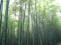 景点-穹窿山景区