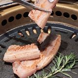 复工开心咥烤肉，拒绝EMO!