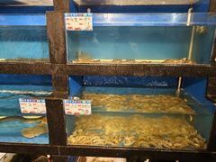 -华盛丰温州大排档(东三环南路店)