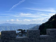 -牛背梁国家森林公园