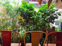 -咖法森林·咖啡  酒吧(天河店)