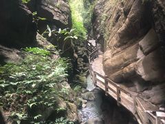 -龙水峡地缝景区